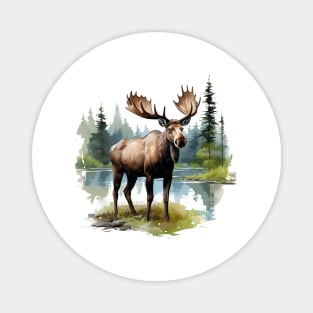 Moose Nature Magnet